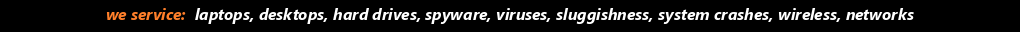 we service: laptops, desktops, modems, routers, hard drives, spyware, viruses, sluggishness, system crashes, wireless networks
